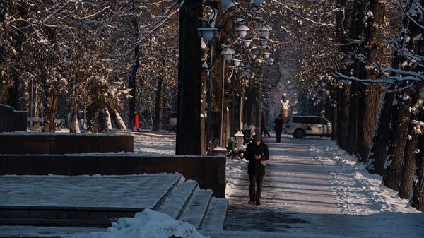 Люди идут по бульвару Эркиндик в зимний солнечный день в Бишкеке. Архивное фото  - Sputnik Кыргызстан
