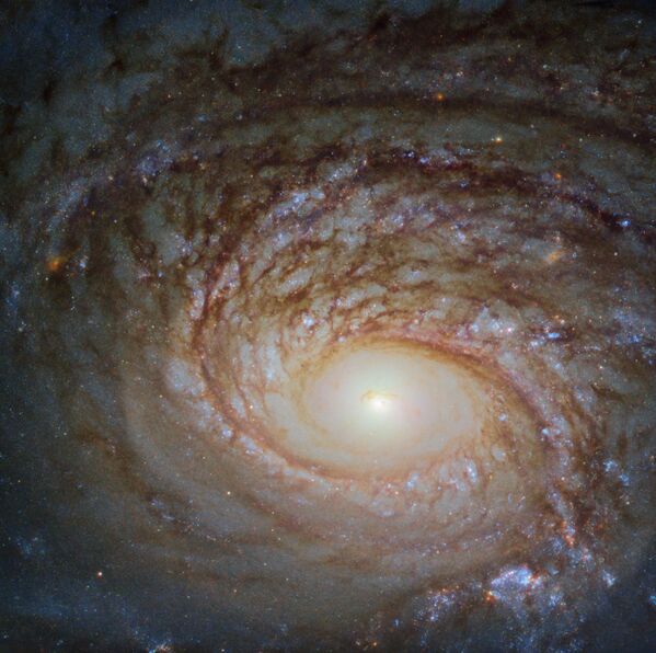 Спиральная галактика NGC 772 - Sputnik Кыргызстан