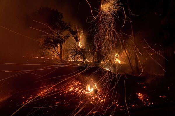 Лесной пожар в Калифорнии - Sputnik Кыргызстан