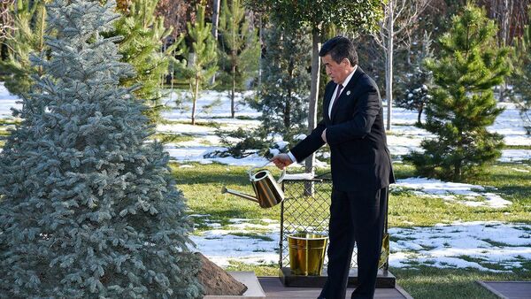 Президенты стран Центральной Азии высадили саженцы в Ташкенте - Sputnik Кыргызстан