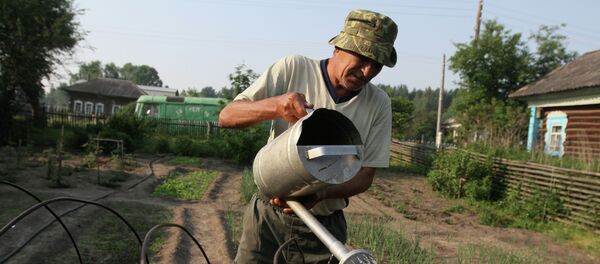 Мужчина поливает грядку у себя в огороде. Архивное фото Мужчина поливает грядку у себя в огороде. Архивное фото - Sputnik Кыргызстан