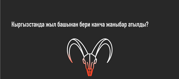 Кыргызстан кайберенин чет элдиктерге аттырып канча акча таап жатат? Кыргызстан кайберенин чет элдиктерге аттырып канча акча таап жатат? - Sputnik Кыргызстан
