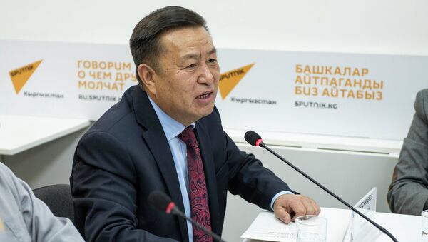 Депутат и экс-спикер Жогорку Кенеша Чыныбай Турсунбеков - Sputnik Кыргызстан
