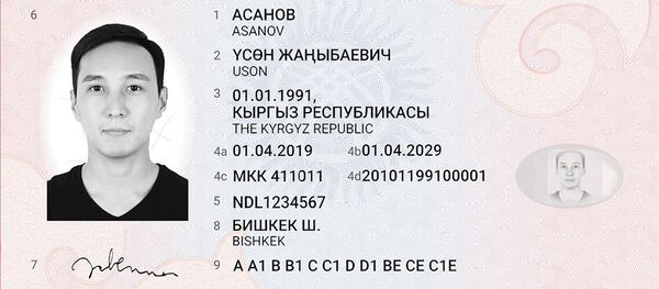 Образцы новых водительских удостоверений гражданина Кыргызстана - Sputnik Кыргызстан