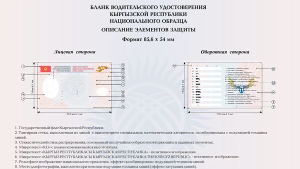 Образцы новых водительских удостоверений гражданина Кыргызстана - Sputnik Кыргызстан
