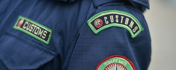 Церемония запуска инспекторско-досмотрового комплекса на контрольно-пропускном пункте Торугарт в Нарынской области - Sputnik Кыргызстан