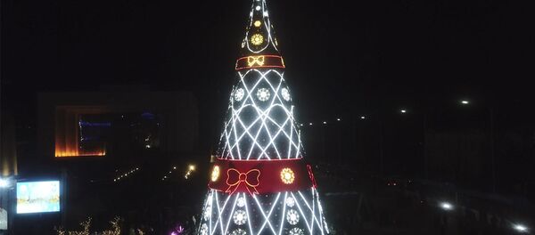 Башкы балатынын оту жанды! Жомокко бөлөнгөн Ала-Тоо аянты. Видео - Sputnik Кыргызстан