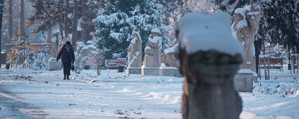 Погода в Бишкеке - Sputnik Кыргызстан