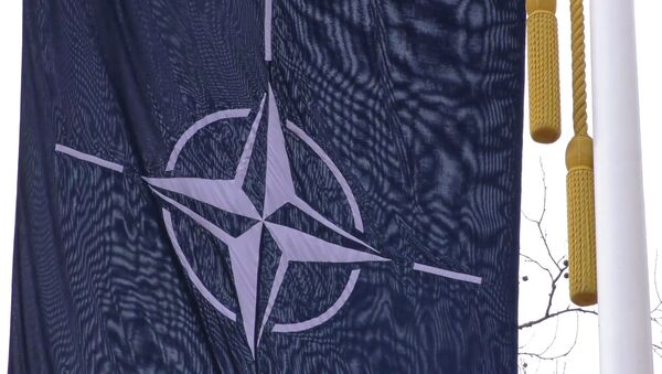 Развал НАТО: сможет ли альянс сохранить единство - Sputnik Кыргызстан