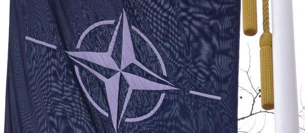 НАТОнун бүлүнүүсү: альянс биримдигин сактап кала алабы? - Sputnik Кыргызстан