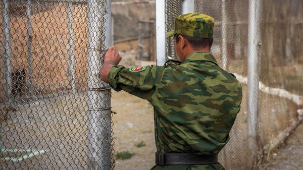 Пограничник во время службы. Архивное фото - Sputnik Кыргызстан