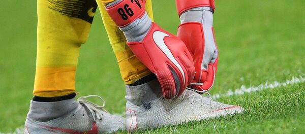 Вратарь. Архивное фото - Sputnik Кыргызстан