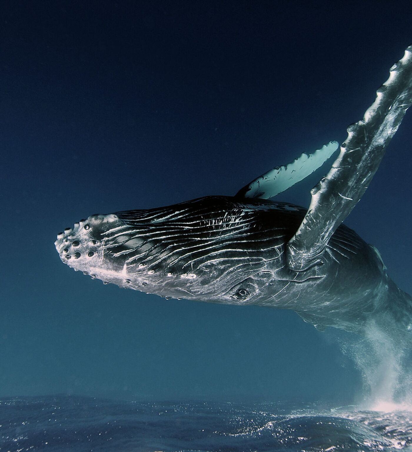 Сексуалдық ауылдар арықпен эротика