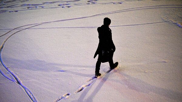 Прохожий идет по улице во время снегопада. Архивное фото - Sputnik Кыргызстан