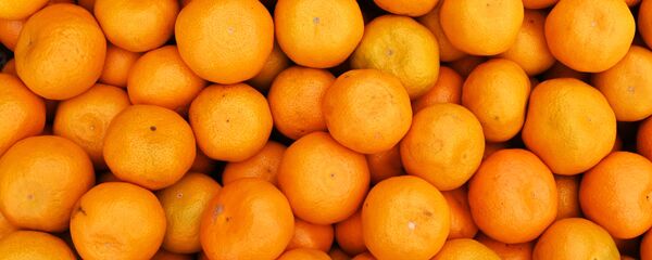 Продажа мандаринов на границе России и Абхазии - Sputnik Кыргызстан