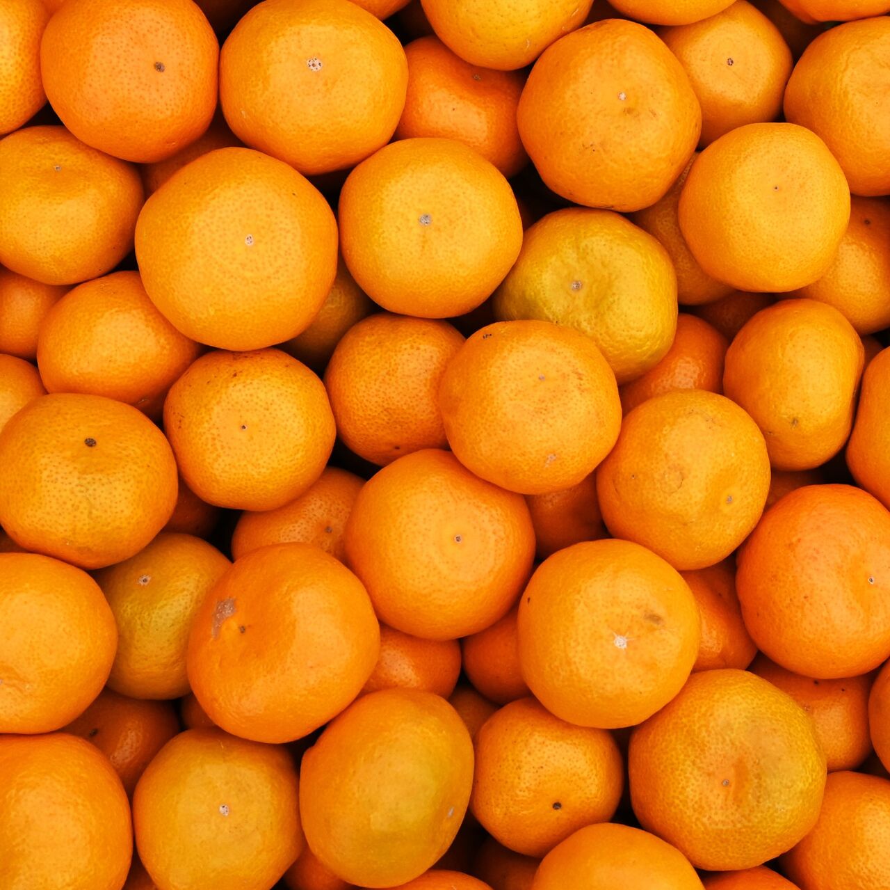 Құйрығы бар порно