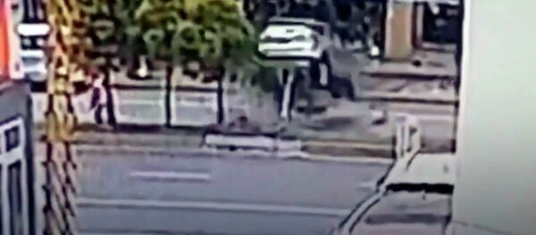 Авто перелетело через дерево — необычное ДТП попало на видео - Sputnik Кыргызстан