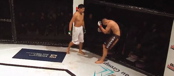 Кыргызстанский боец ударом колена уложил соперника — видео нокаута Кыргызстанский боец ударом колена уложил соперника — видео нокаута - Sputnik Кыргызстан