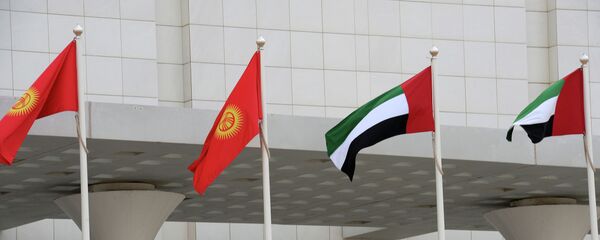 Флаги Кыргызстана и ОАЭ. Архивное фото Флаги Кыргызстана и ОАЭ. Архивное фото - Sputnik Кыргызстан