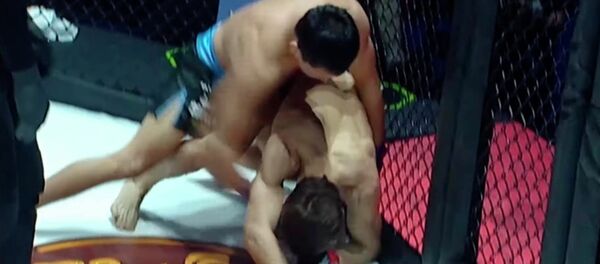 Кыргызстанский боец жестоко избил соперника на глазах у Хабиба — видео боя - Sputnik Кыргызстан