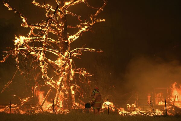Лесные пожары в Австралии - Sputnik Кыргызстан