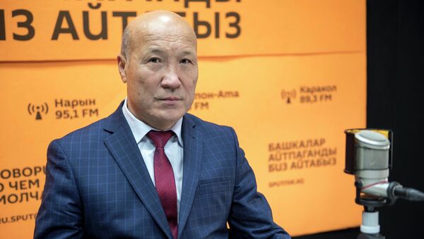 Замминистра здравоохранения КР Мадамин Каратаев  - Sputnik Кыргызстан