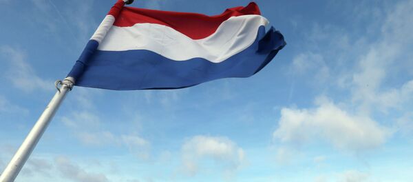 Флаг Нидерландов. Архивное фото - Sputnik Кыргызстан