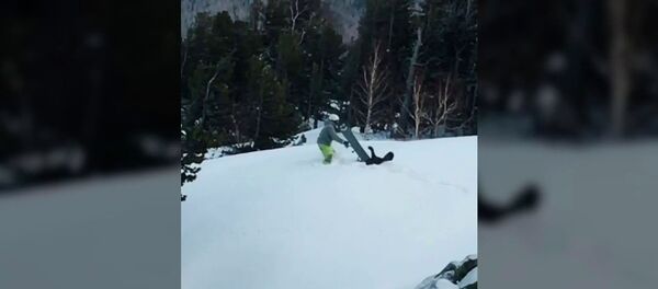 Тоонун башында сноубордисттин айласын кетирген керең куш. Видео - Sputnik Кыргызстан