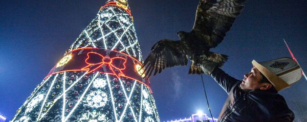 Ала-Тоо аянтындагы балаты. Архив - Sputnik Кыргызстан