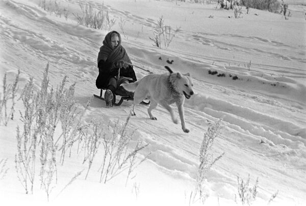 Собака везет девочку на санках, 1971 год - Sputnik Кыргызстан