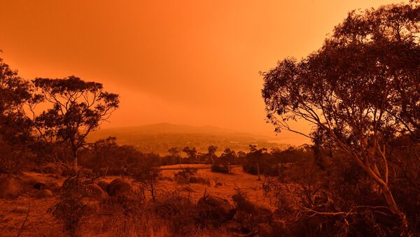 Лесные пожары в Австралии.  - Sputnik Кыргызстан