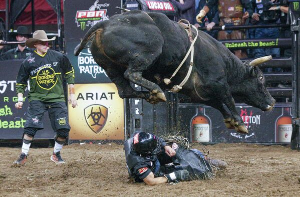 Соревнования PBR Unleash the Beast Bull Riding в Нью-Йорке - Sputnik Кыргызстан