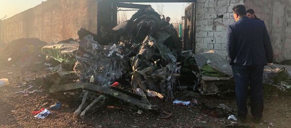 Крушение украинского самолета Boeing 737 на окраине Тегерана - Sputnik Кыргызстан