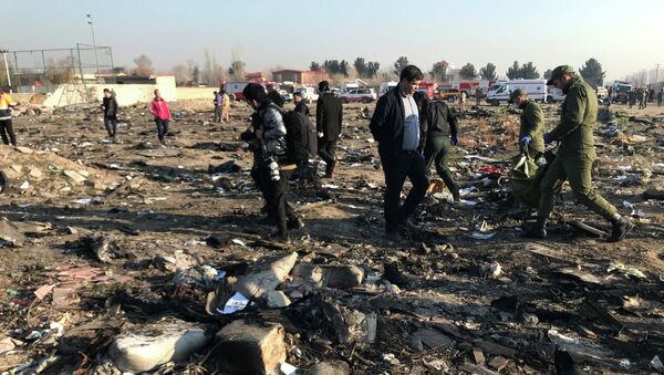 Крушение украинского самолета Boeing 737 на окраине Тегерана - Sputnik Кыргызстан