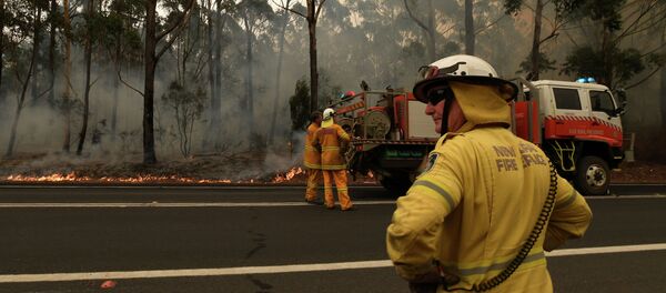 Австралиядагы өрт - Sputnik Кыргызстан