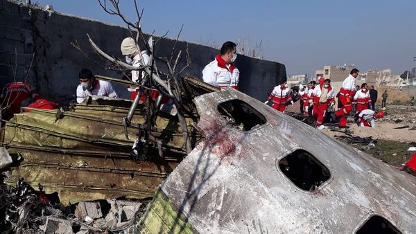 Украинский пассажирский самолет потерпел крушение в Иране - Sputnik Кыргызстан