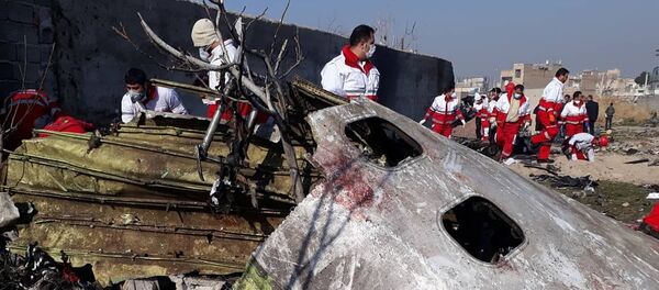 Украинский пассажирский самолет потерпел крушение в Иране - Sputnik Кыргызстан