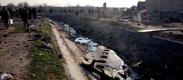 Крушение украинского самолета Boeing 737 на окраине Тегерана - Sputnik Кыргызстан
