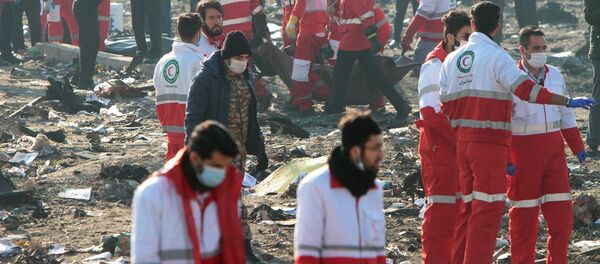 На месте крушения пассажирского лайнера Украины Boeing 737-800 - Sputnik Кыргызстан