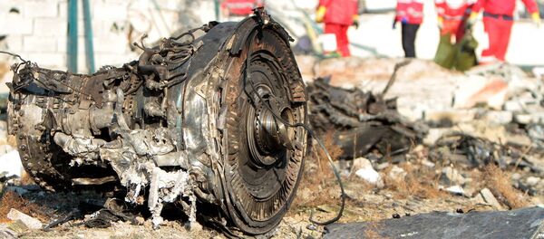 На месте крушения пассажирского лайнера Украины Boeing 737-800 - Sputnik Кыргызстан