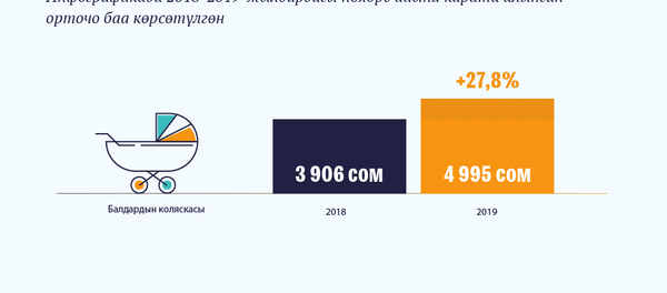 Кыргызстанда баасы өскөн азык-түлүккө кирбеген товарлар  - Sputnik Кыргызстан