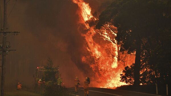  Пожарные тушат горящий лес. Архивное фото - Sputnik Кыргызстан