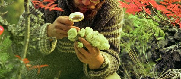 Печоро-Илычский заповедник Печоро-Илычский заповедник - Sputnik Кыргызстан