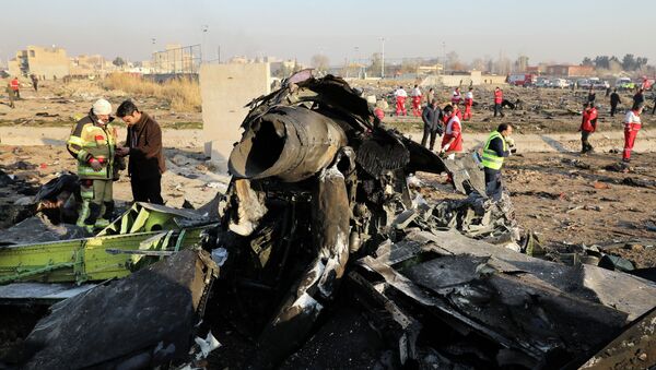 Обломки украинского пассажирского лайнера Boeing 737-800 потерпевшего крушение неподалеку от аэропорта имени Имама Хомейни в Тегеране (Иран). - Sputnik Кыргызстан