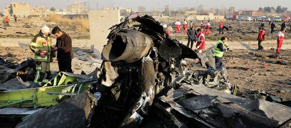 Иранда кулаган Украинанын учагынын сыныктары - Sputnik Кыргызстан