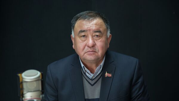 Бишкек шаардык ветеринардык жана фитосанитардык коопсуздук инспекциясынын башчысынын орун басары Шамен Сыдыков - Sputnik Кыргызстан
