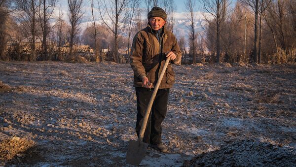 Лонгрид: Люди нарушают закон, чтобы купить товар в кыргызском селе, — история Кум-Добо - Sputnik Кыргызстан