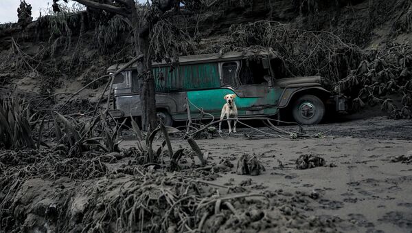 Последствия извержения вулкана Тааль на Филиппинах - Sputnik Кыргызстан