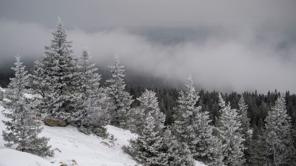 Снег и туман в горах. Архивное фото - Sputnik Кыргызстан