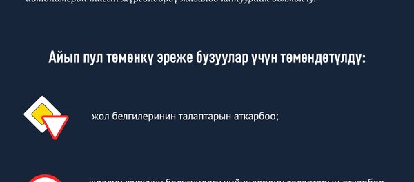 Кыргызстанда бузулган кайсы жол эрежелери үчүн айып пулдар өзгөрдү - Sputnik Кыргызстан
